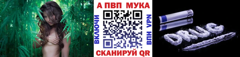 Виды наркотиков купить Качканар Cocaine  МЕФ  АМФ  МАРИХУАНА  ГАШИШ  Альфа ПВП 