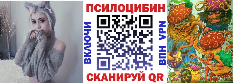 магазин продажи наркотиков  Качканар  Псилоцибиновые грибы Psilocybe 