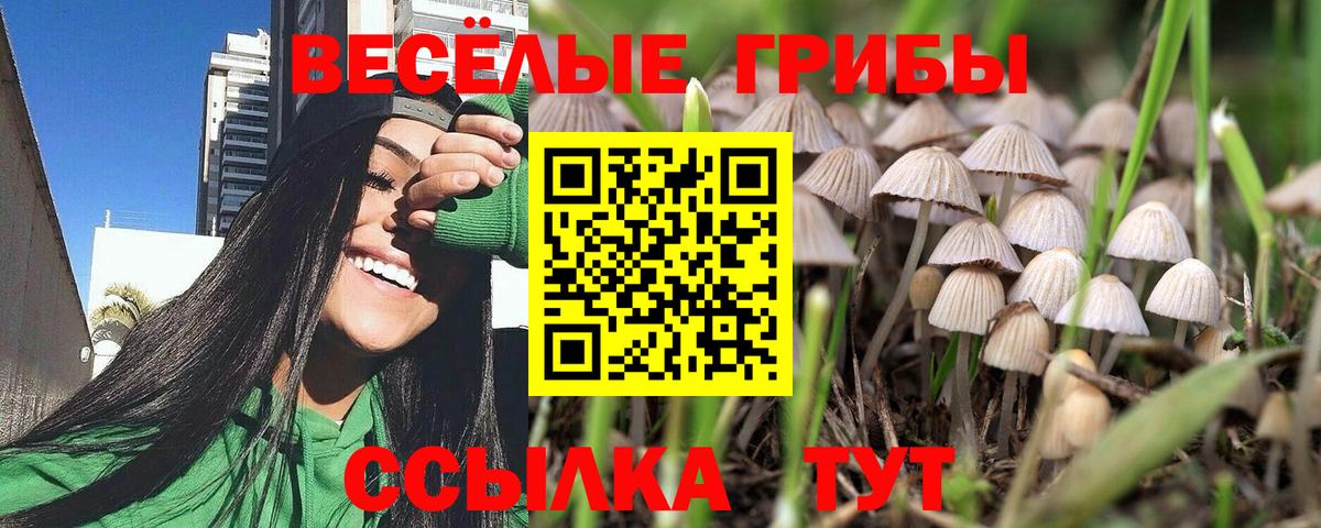 Псилоцибиновые грибы Psilocybine cubensis Качканар