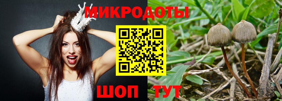 Качканар  Псилоцибиновые грибы MAGIC MUSHROOMS  Вход с VPN 